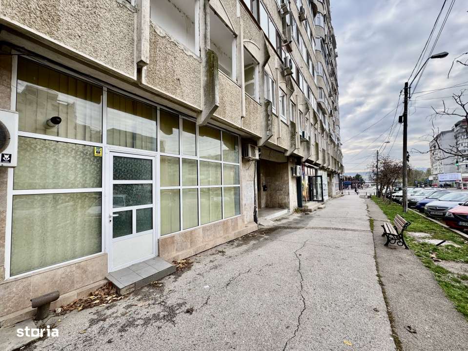 Inchiriere Spatiu 23 mp in Pacurari- Moara de Foc. - Imagine principală: 3/9