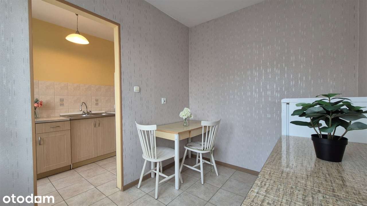 Przy Parku Śląśkim|Na inwestycje|Dla rodziny-10