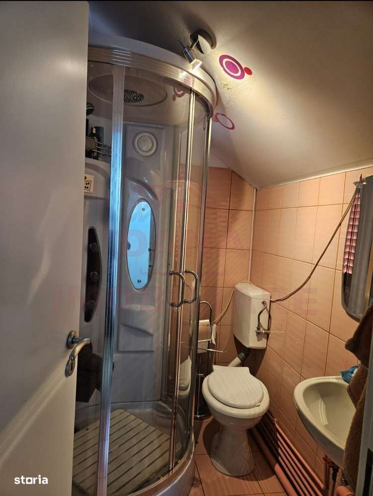 CASĂ DE VÂNZARE ÎN POUANA MĂRULUI,JUD. CARAȘ-SEVERIN-15