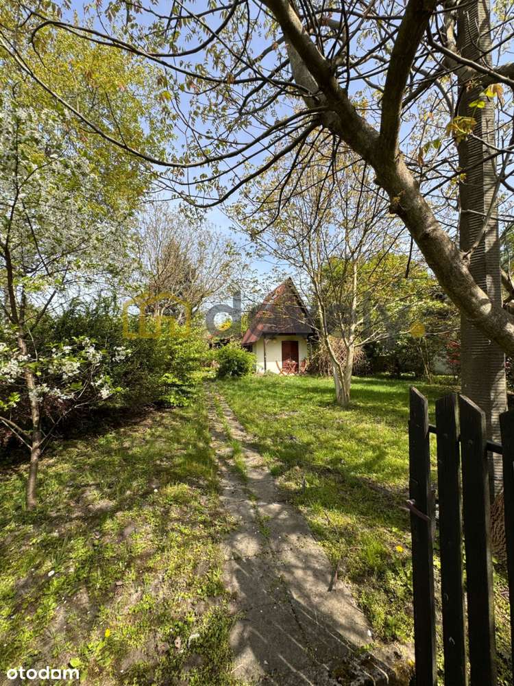 Urokliwa, działka Rod, Zakole Wisły, domek, ogród - Pełny obrazek: 5/6