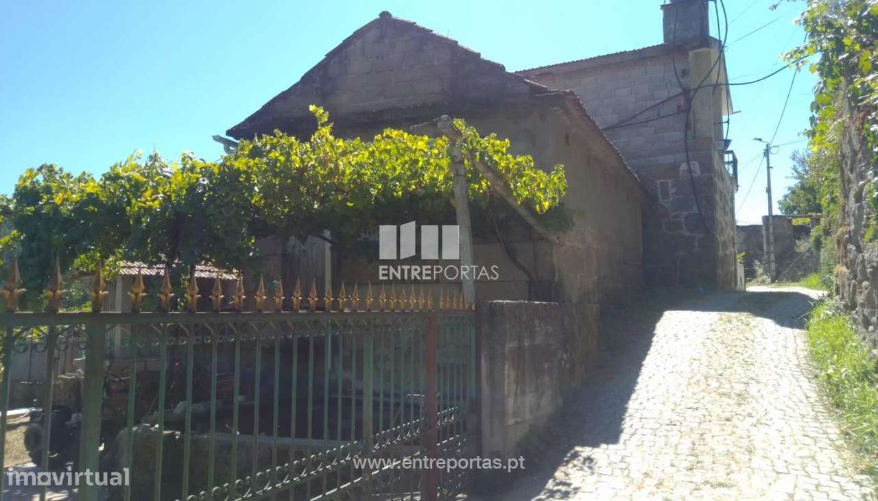 Venda Terreno com 3660 m2, Souselo, Cinfães - Grande imagem: 3/30