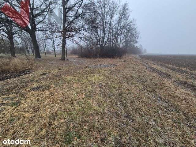 Okazja/duża działka budowlana/m.Ręków gm. Sobótka-3