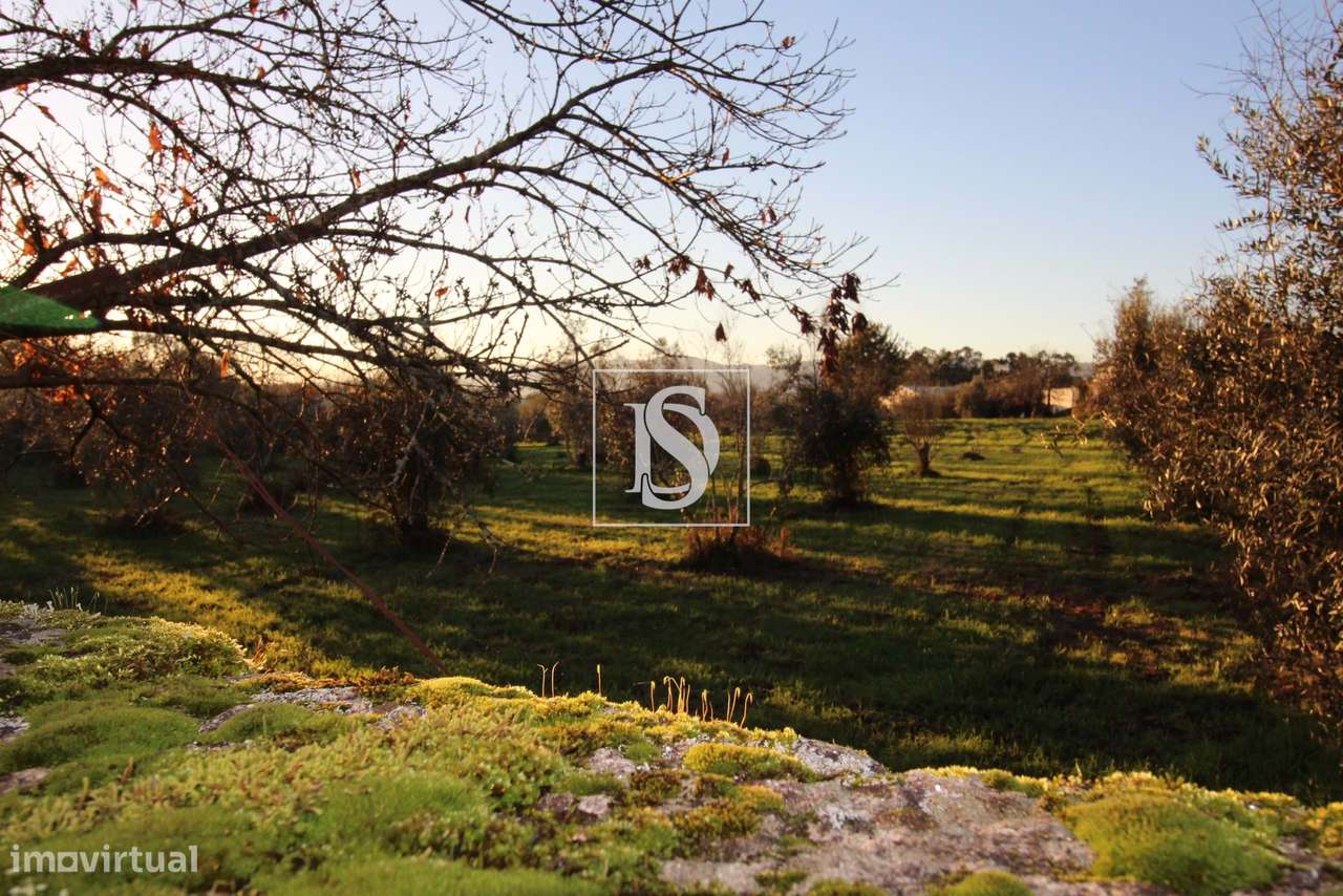 Terreno de 12.370m2 com viabilidade de construção - Grande imagem: 4/14