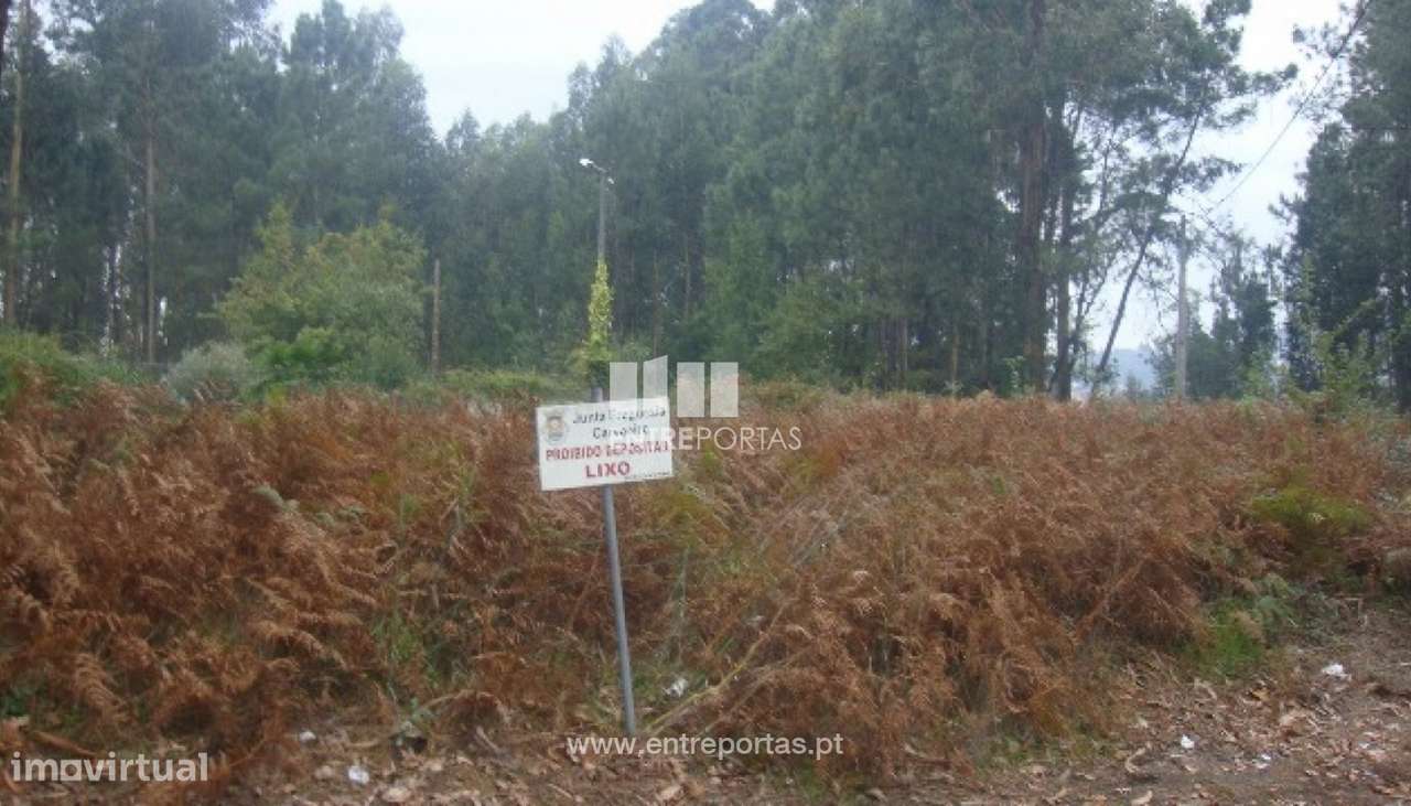 Venda de Terreno, Carvoeiro, Viana do Castelo - Grande imagem: 5/30