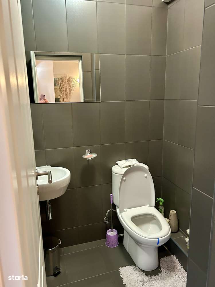 Apartament cochet Cişmigiu-5