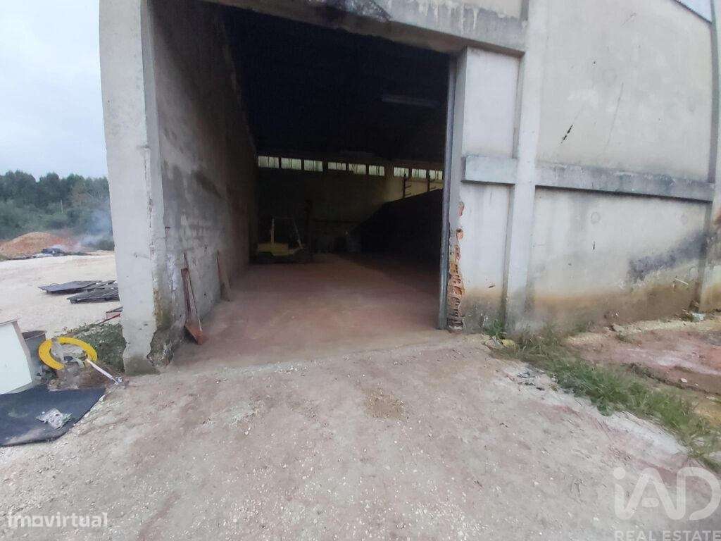 Hangar em Pedreiras de 775,00 m2 - Grande imagem: 4/16