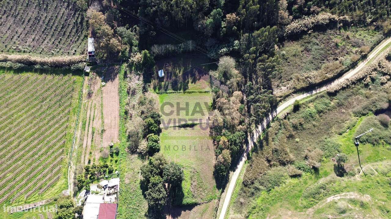 Magnífica Quinta c/ 10.490 m2 Concelho Cadaval-44