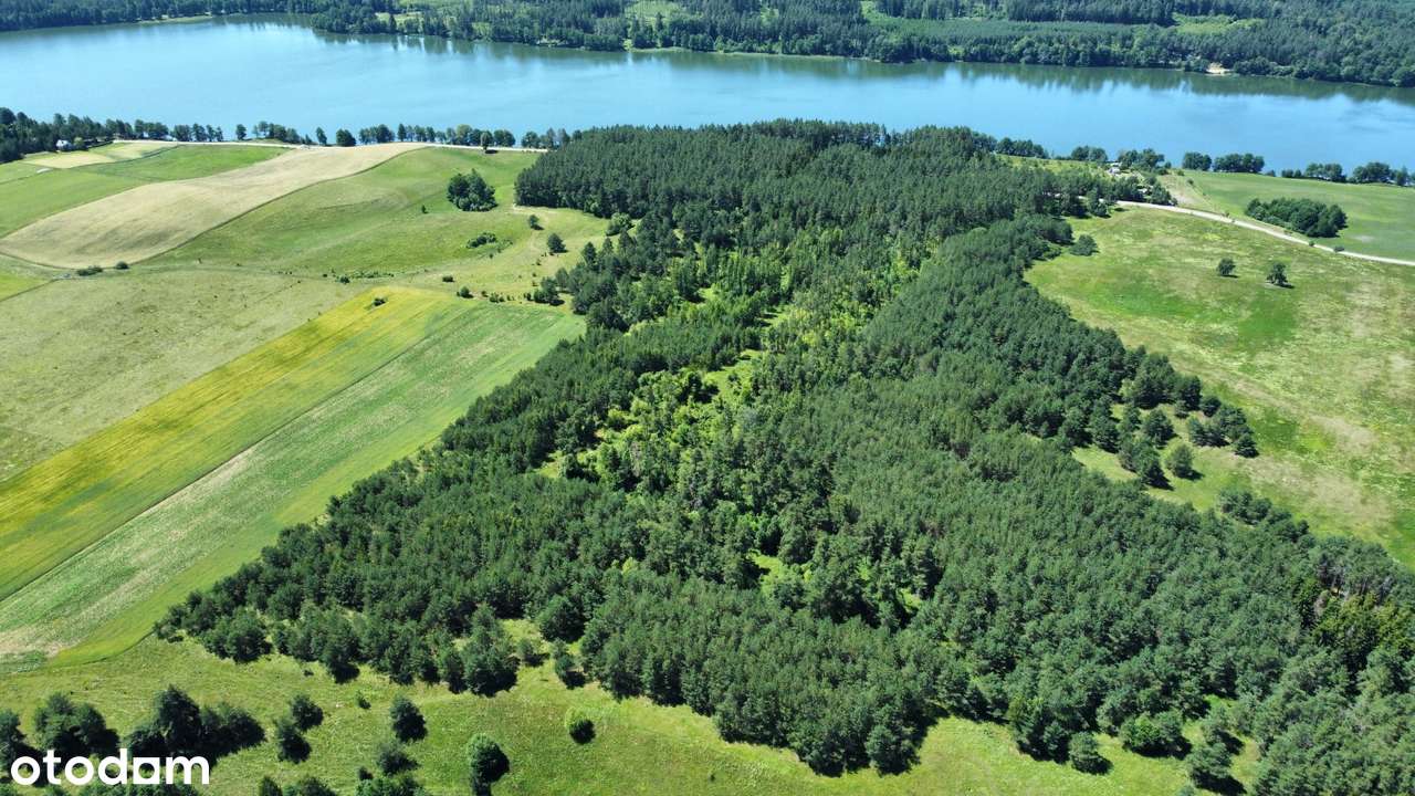 Filipów - grunt 5,75 ha - Pełny obrazek: 5/6