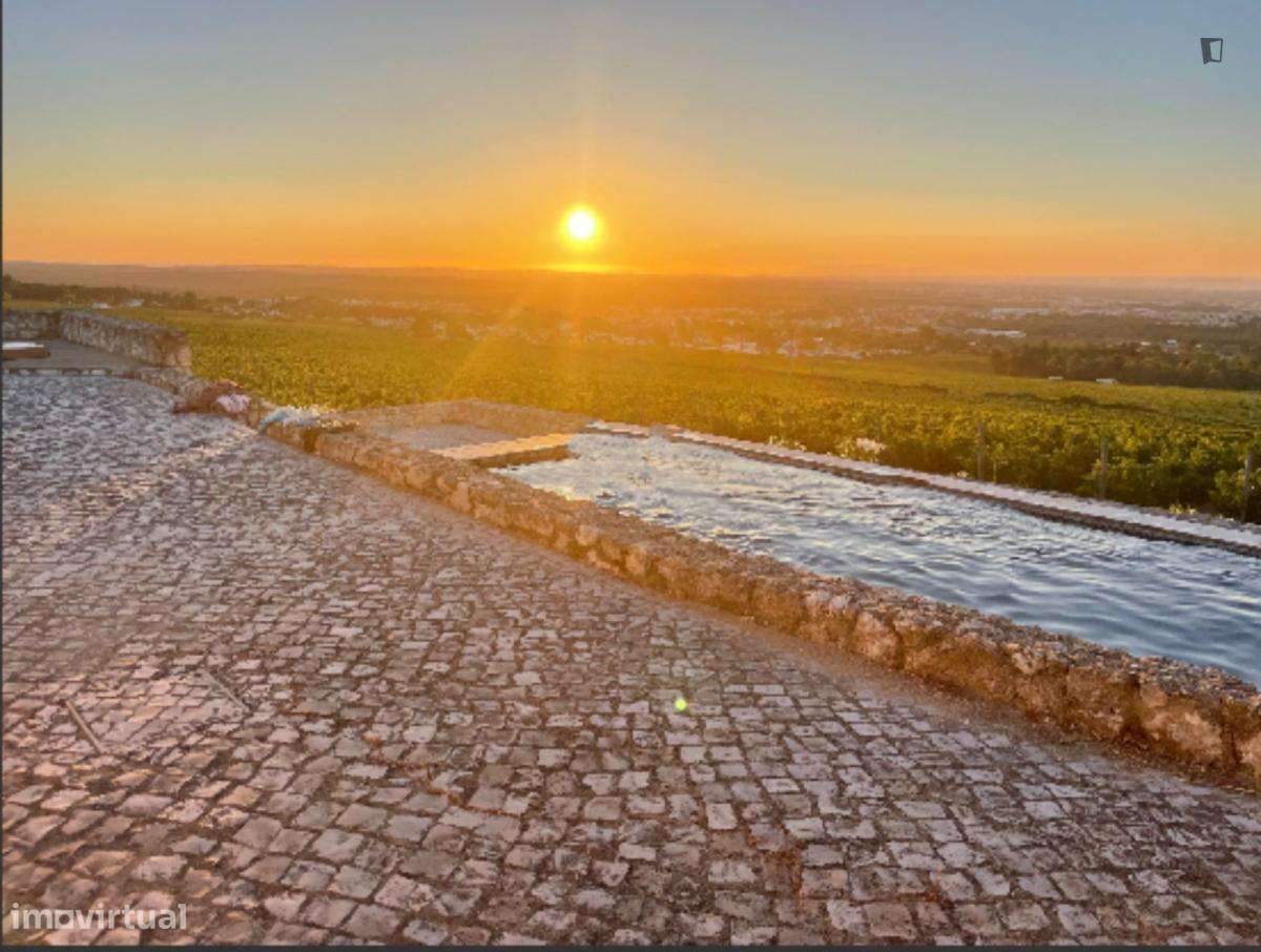 Casa com 1 quartos - localizado em Setubal - Grande imagem: 2/9
