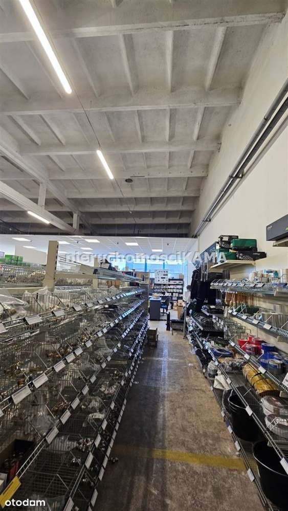 Hala/Magazyn, 1 603,55 m², Bielsko-Biała-4