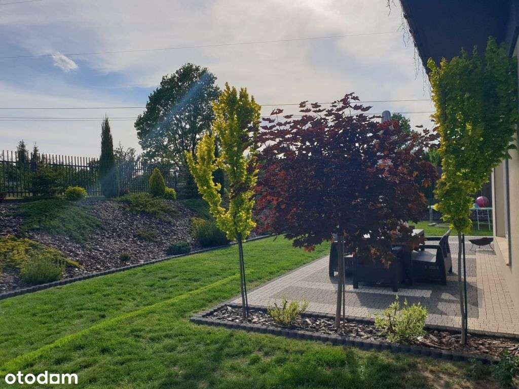 dom wolnostojący - Pełny obrazek: 5/14