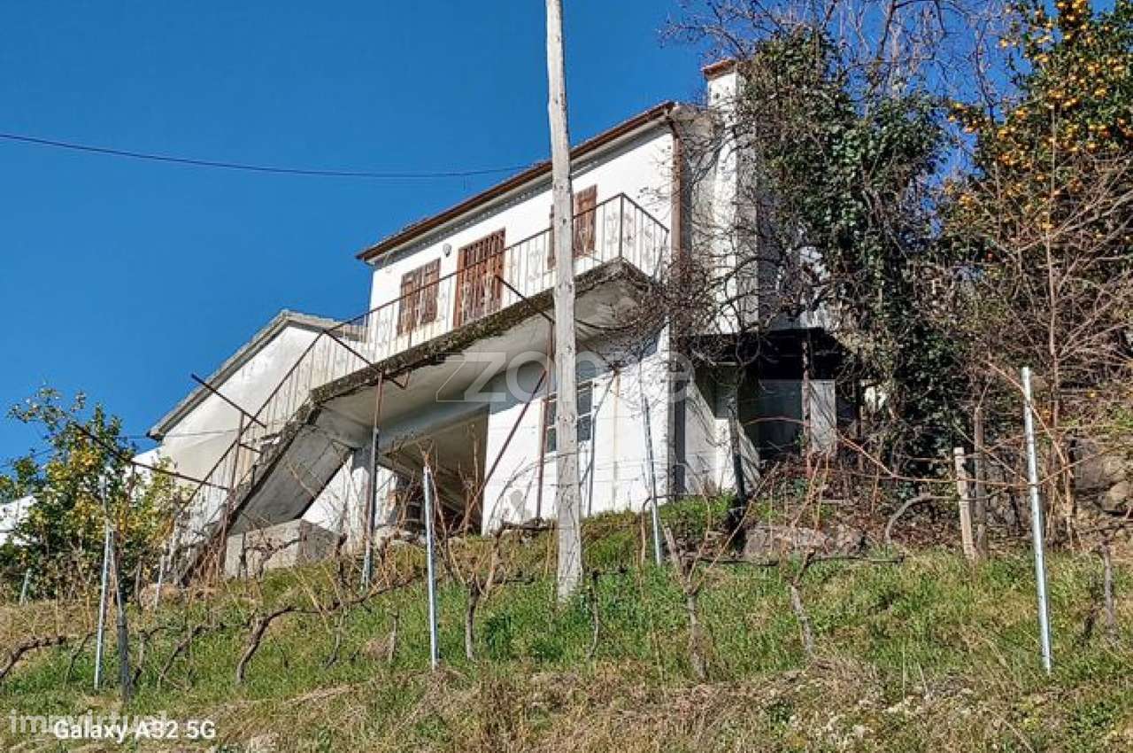 Quintinha com habitação e vinha no Douro - Grande imagem: 2/19