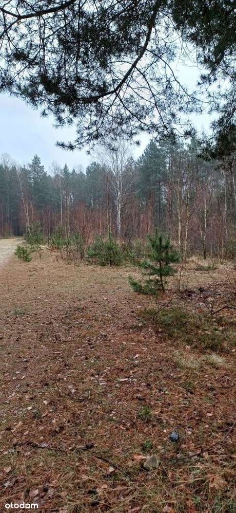 Secemin tereny pod zabudowę rekreacyjną-3