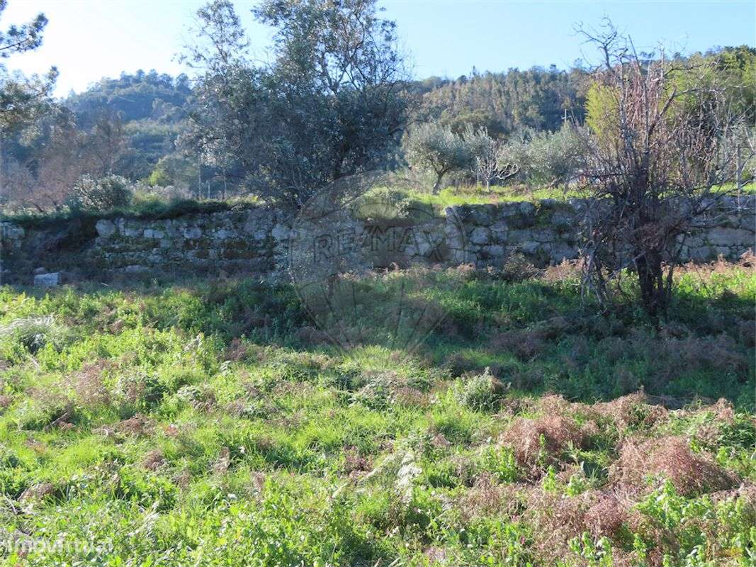 Quinta  para venda - Grande imagem: 4/16