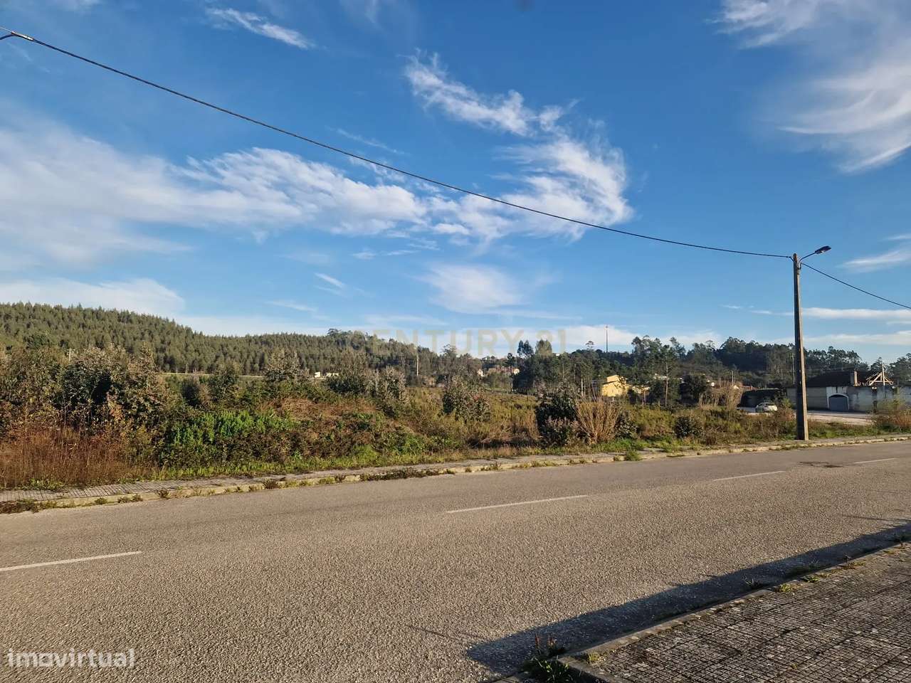 Lote de terreno || Freguesia de Pelariga || Pombal - Grande imagem: 5/13