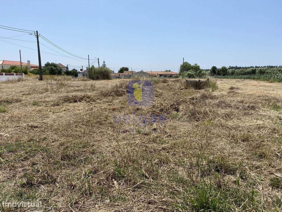 Terreno Serra do Bouro - Grande imagem: 4/19