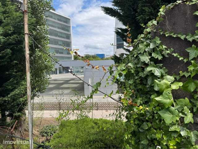 Apartamento T1 na Boavista - Junto à Casa da Música-10