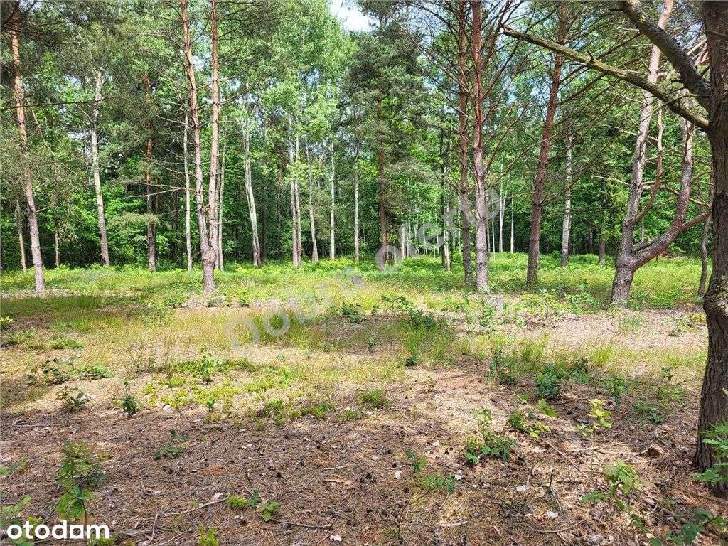 Nowa oferta - dobra cena - miejsce na wypoczynek-4