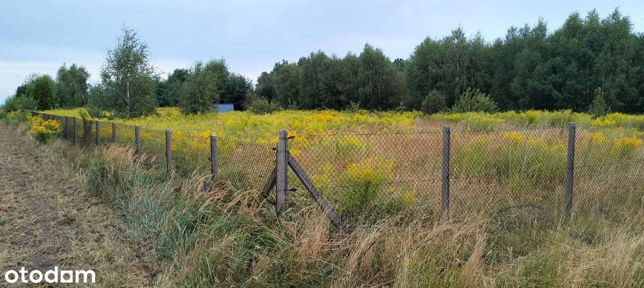 Mzyki piękna, widokowa działka budowlana