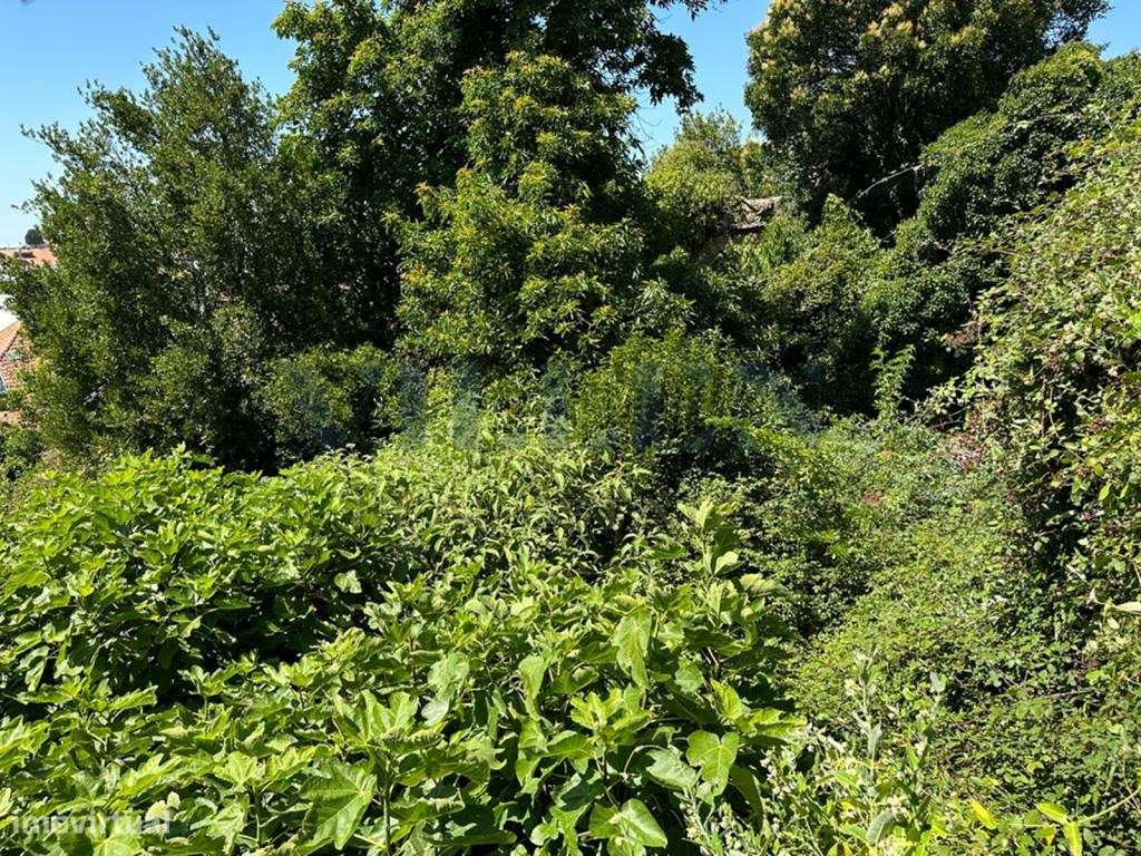 Terreno para construção em altura no centro do Porto - Grande imagem: 5/10