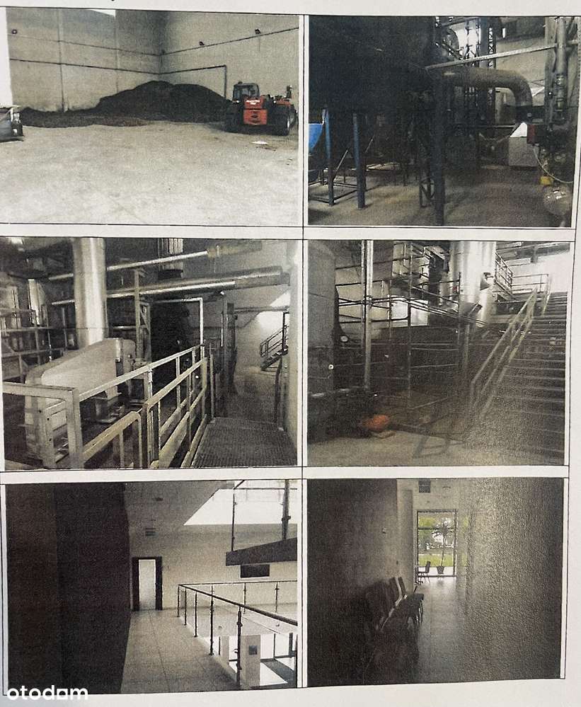 syndyk sprzeda zcp: elektrownie na biomase, linie pelet - Pełny obrazek: 5/5