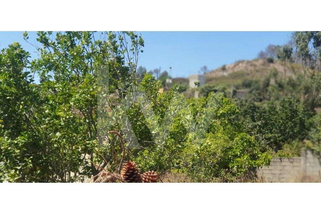 Lote para construção de moradia - Grande imagem: 2/18