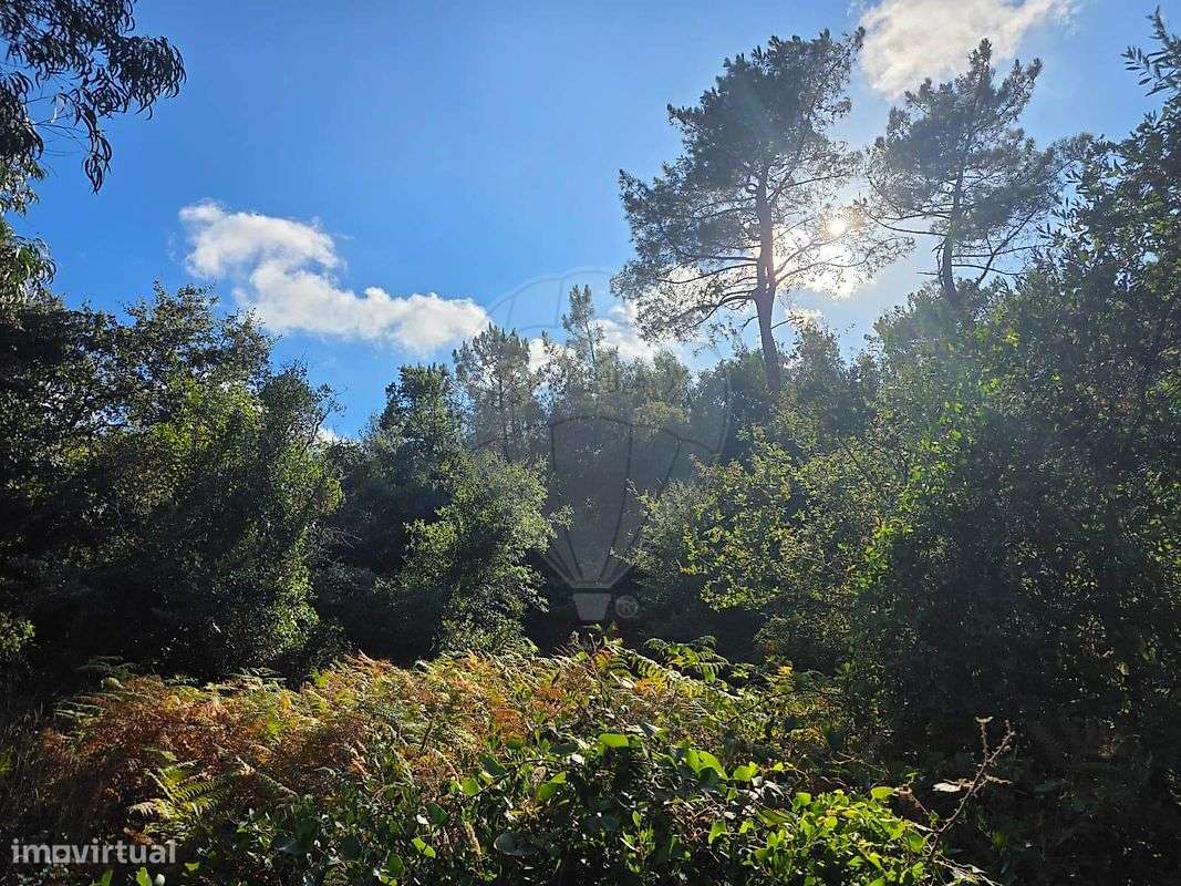 Terreno  para venda - Grande imagem: 5/9