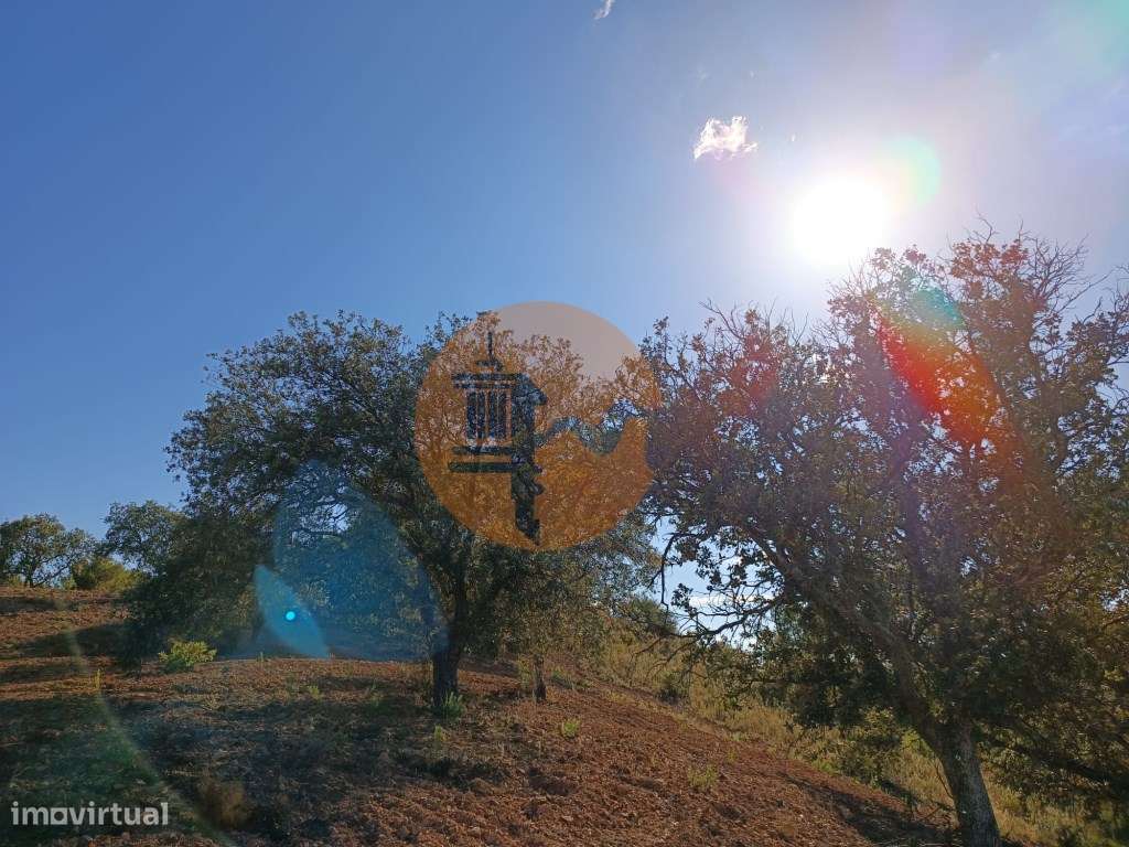 TERRENO RÚSTICO COM 4.960 M2 - COM ÁRVORES - DOIS ACESSO - AZINHAL ... - Grande imagem: 5/33