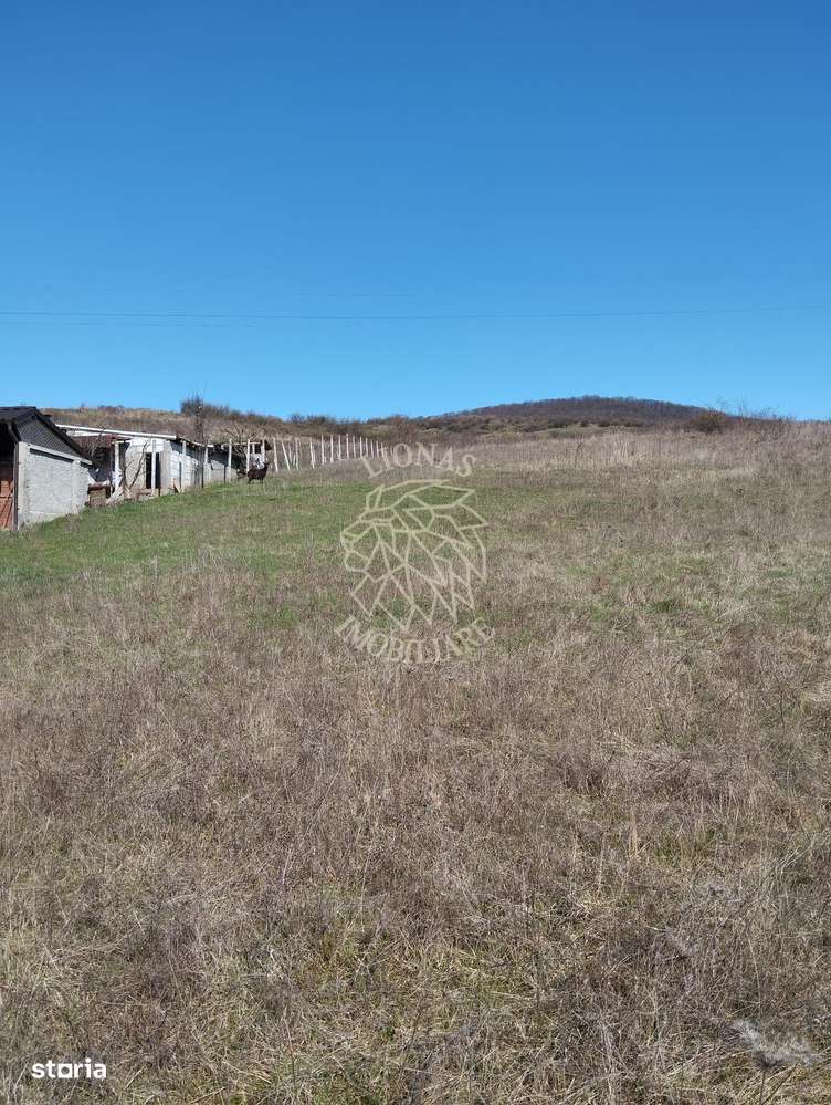Teren intravilan 3719mp cu utilitati-deschidere la sosea -Crainimat - Imagine principală: 2/3