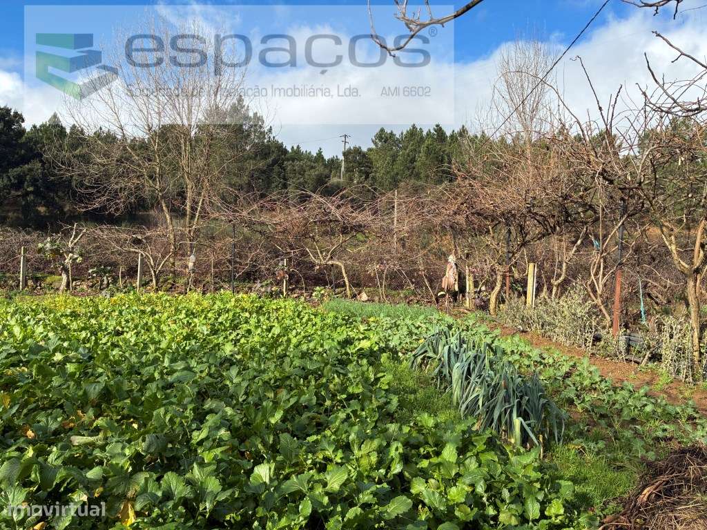 Magnifica Quinta a confinar com Rio Zêzere-20