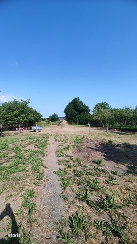 Casa, 250 m², -4