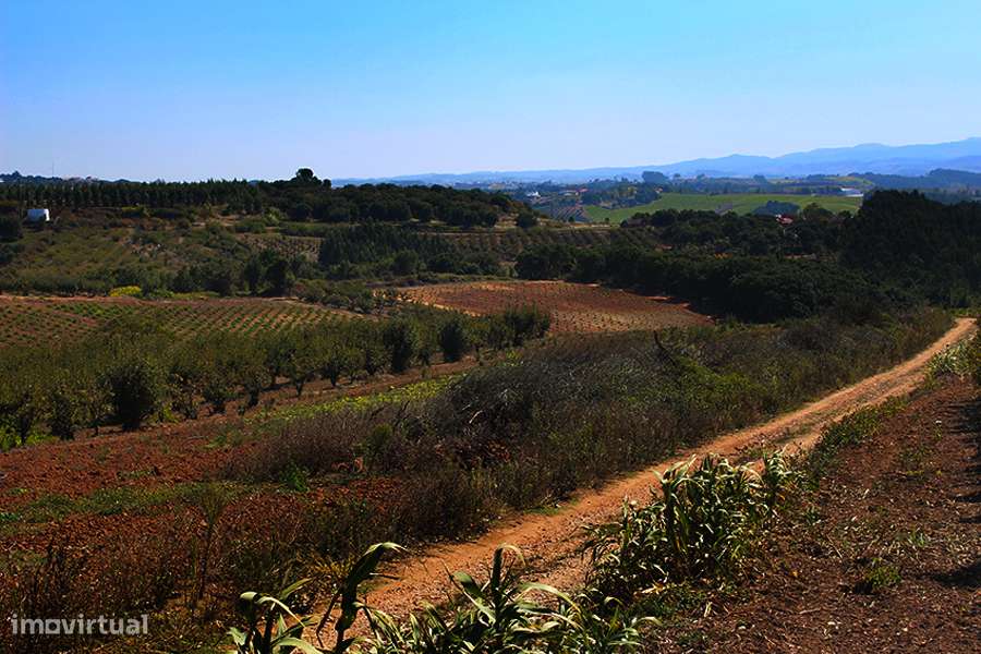 Terreno urbanizável, vista magnífica para Sul entre Óbidos e Bombarral-1