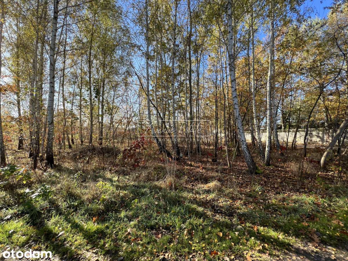 Wyjątkowa Oferta - Pełny obrazek: 4/16