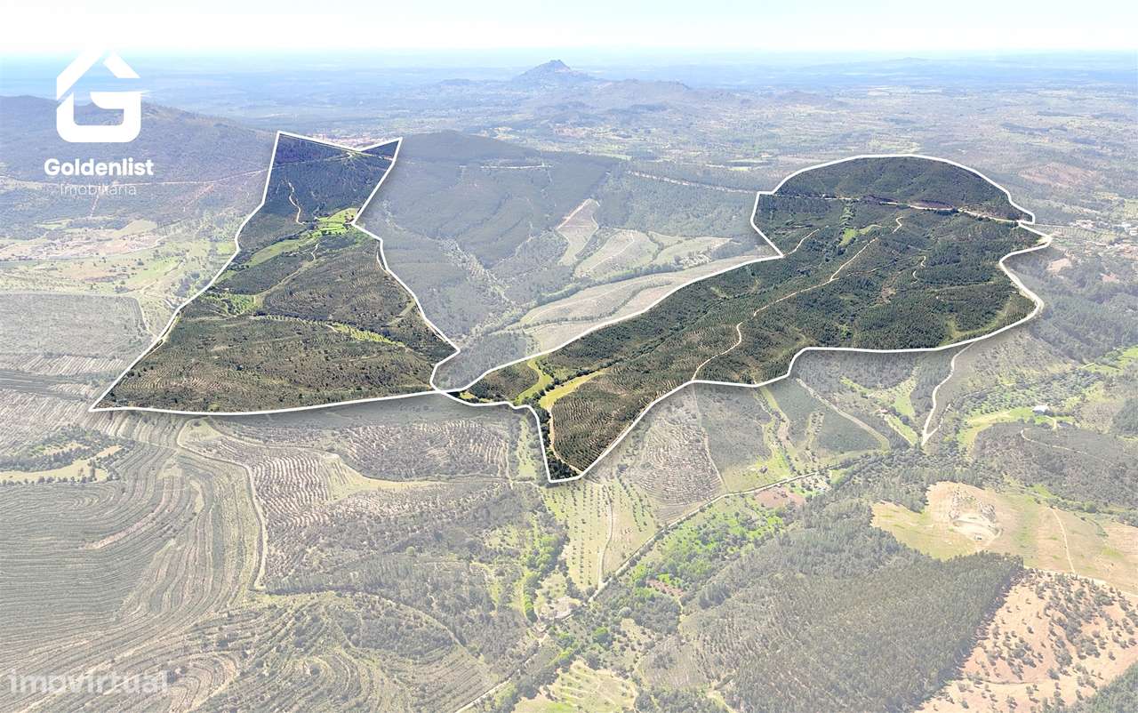 Herdade  Venda em Penamacor,Penamacor-34