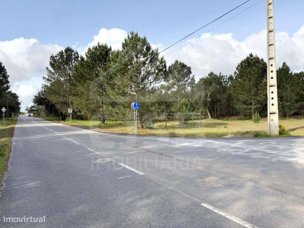 Oportunidade - 5 ha | Zona Industrial Salvaterra de Magos-4