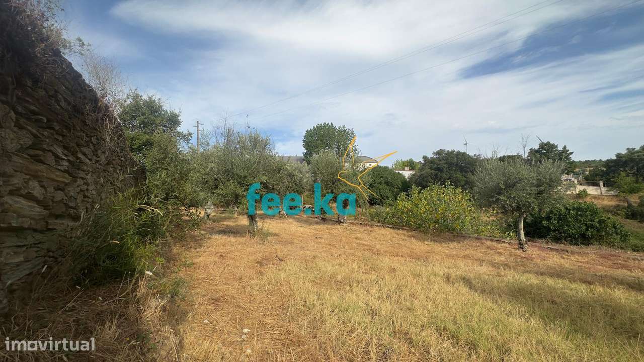 Quintinha-18