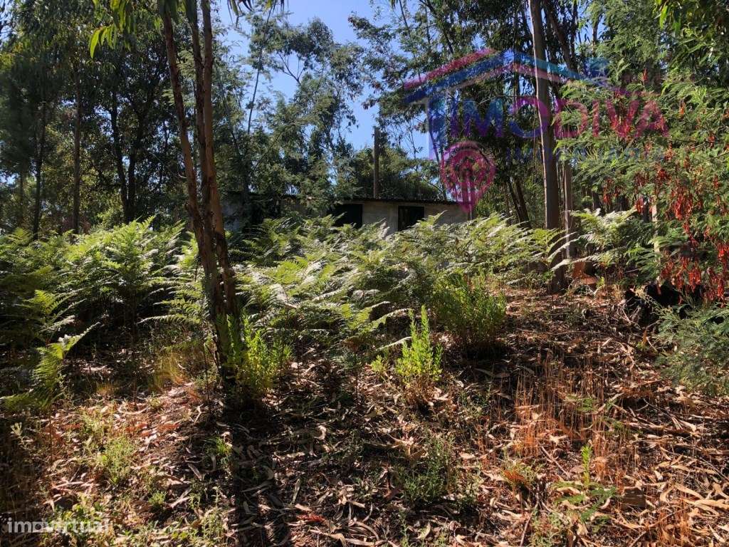 Arrecadação e terreno em Castanheira de Pera-11
