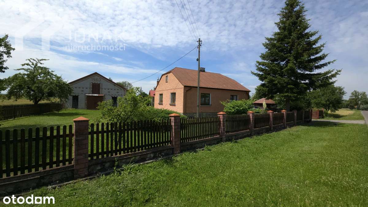 Gospodarstwo z domem parterowym na działce 3374 m² - Pełny obrazek: 4/17