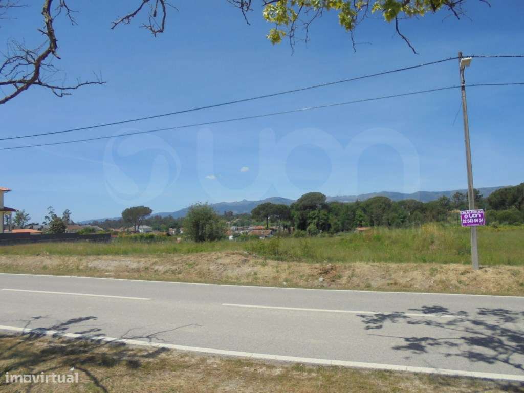 Terrenos Rústicos Tondela - Grande imagem: 2/8