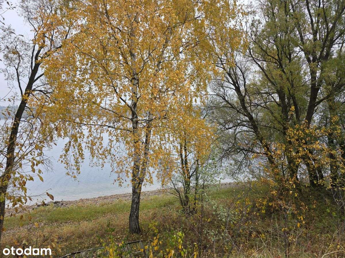 Działka Z Linią Brzegową Jeziora Okmin, Suwałki-5