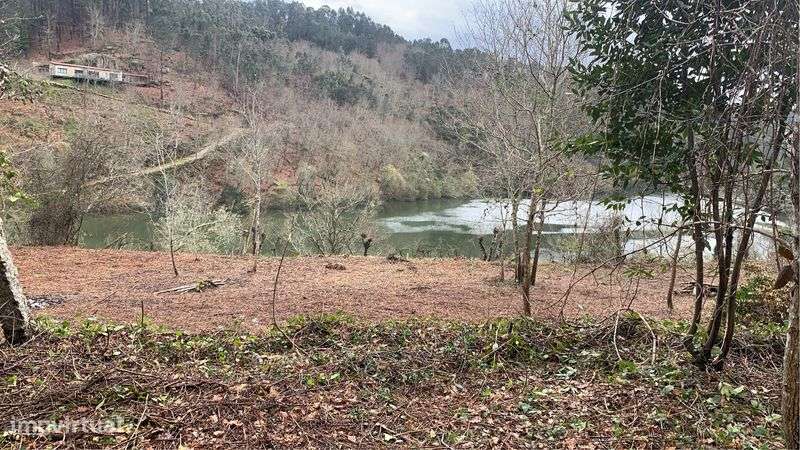 Quinta Margem Rio Tamega - Grande imagem: 5/11