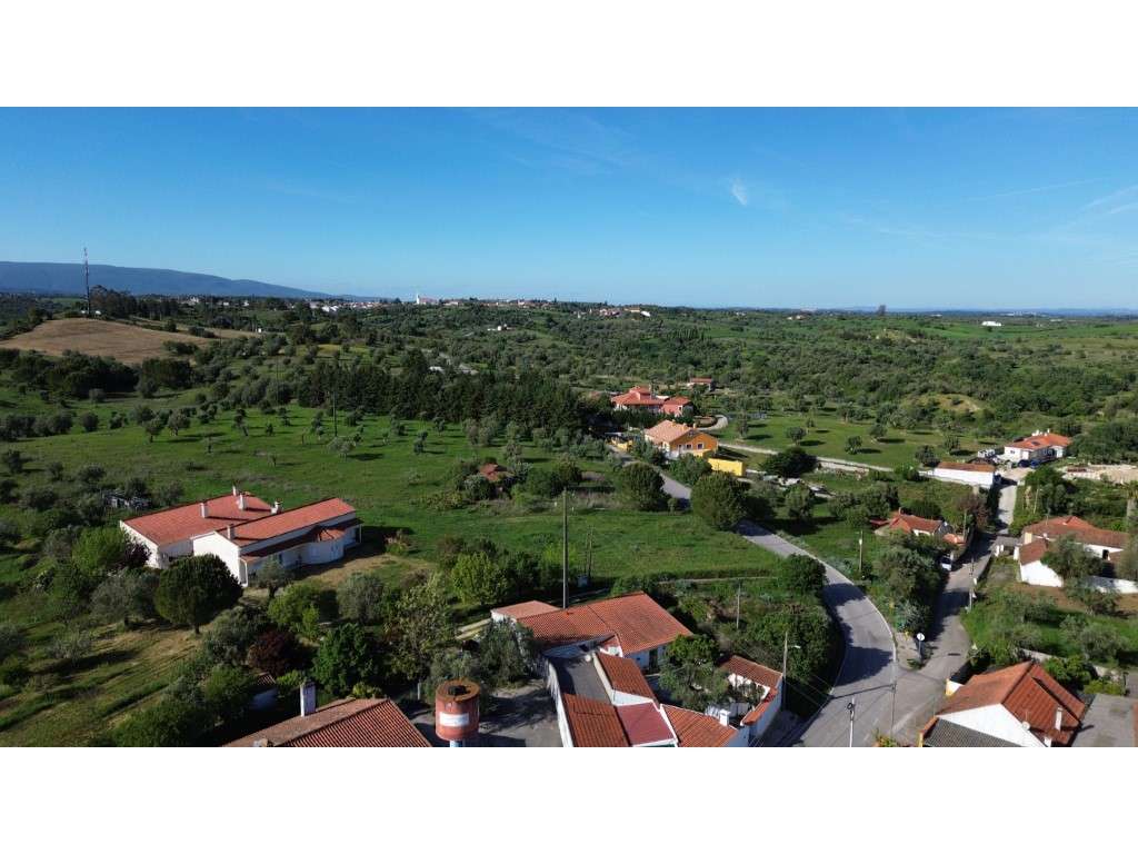 Vendese Quinta com Casa T4, Adega, Lagar e Terreno com Árvores de F...-44