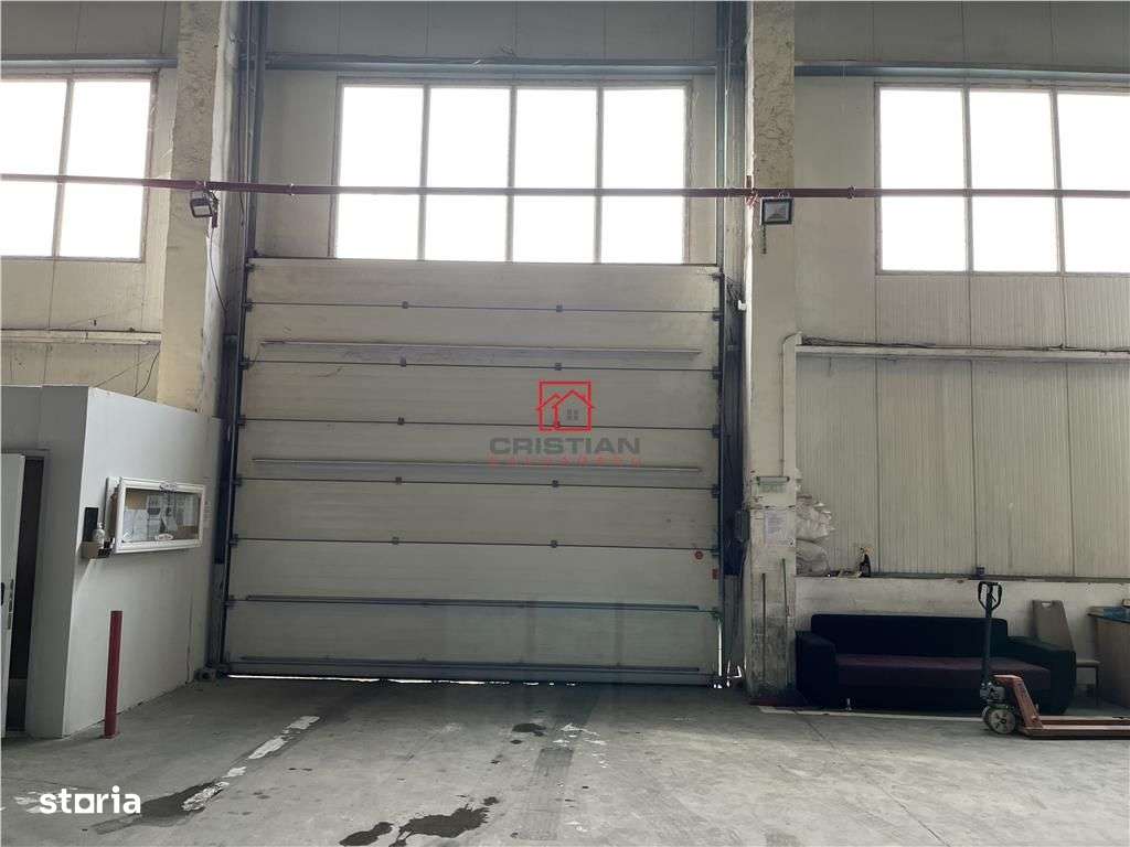 Vanzare haladepozitspatiu industrial Basarabia - Faur-5