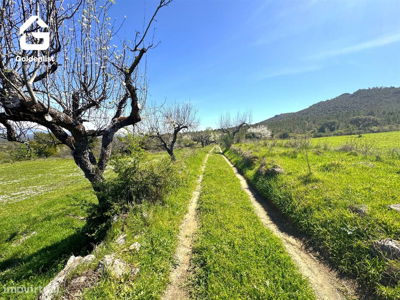 Herdade  Venda em Penamacor,Penamacor-27