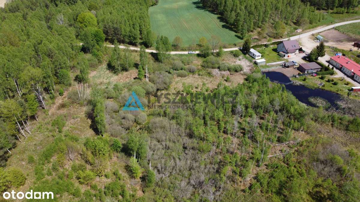 Działka rolna z warunkami zabudowy - Pełny obrazek: 4/9