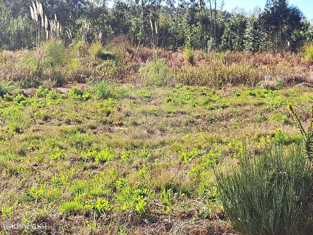 Terreno  para venda - Grande imagem: 4/16