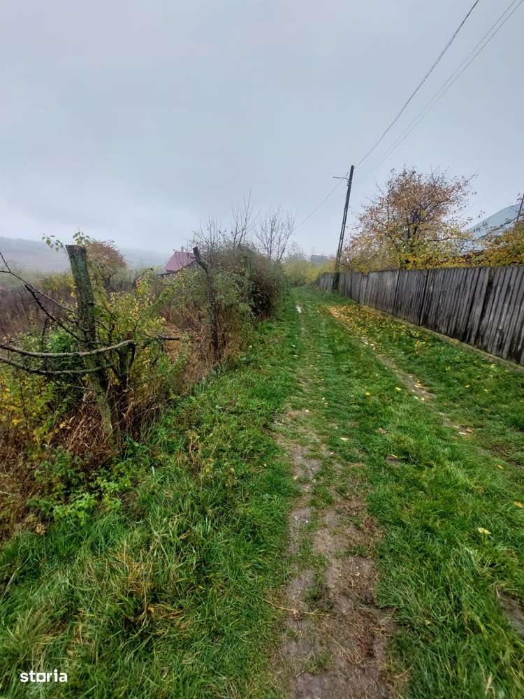 Teren intravilan Popricani-0