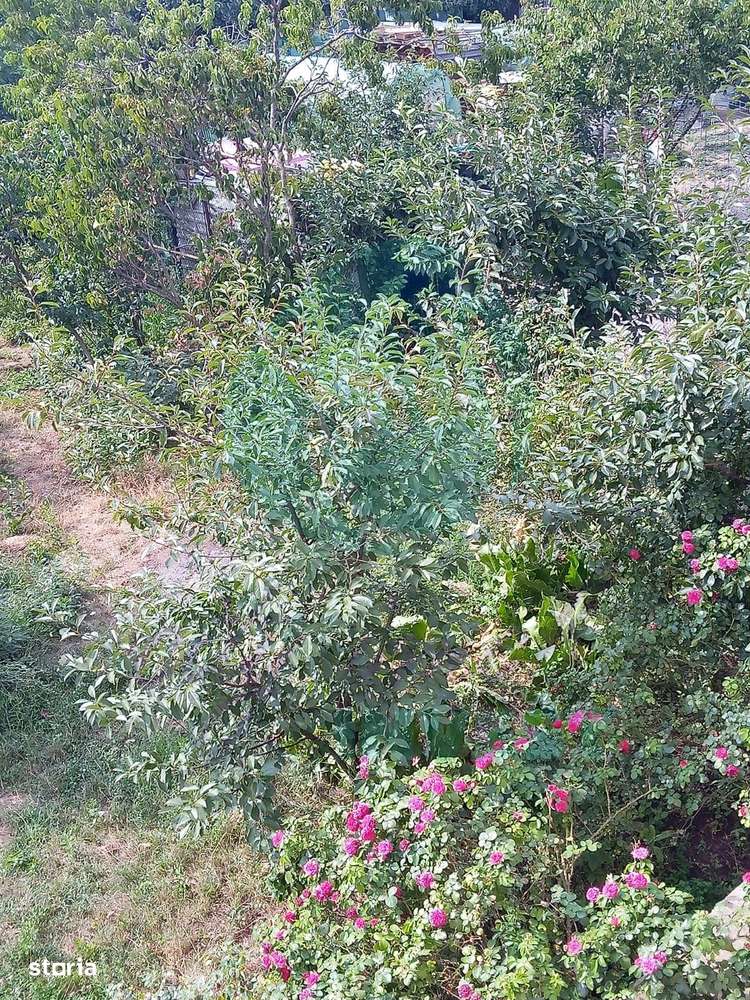 Teren constructii intavilan de 600 mp, Popesti-Leordeni - Imagine principală: 4/4