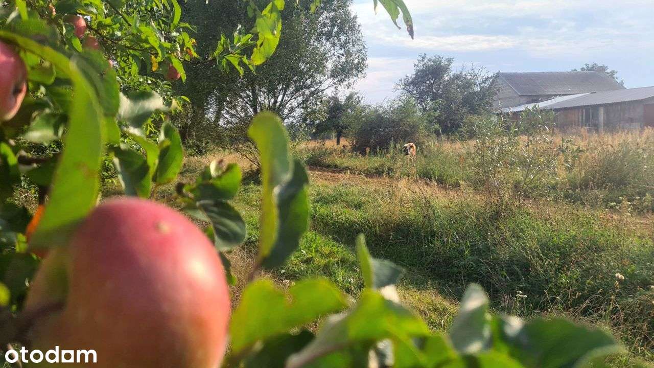 działka budowlana niedaleko Nasielska-14