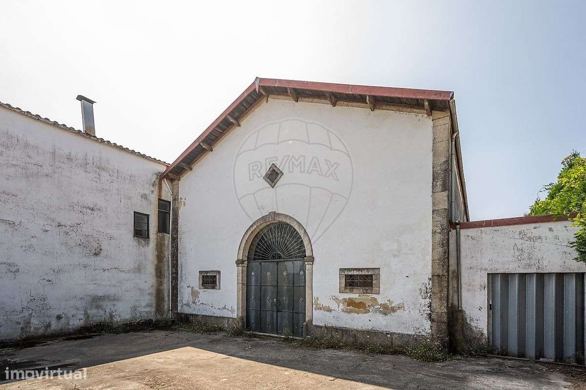 Quinta em pleno coração de Barcelinhos-38